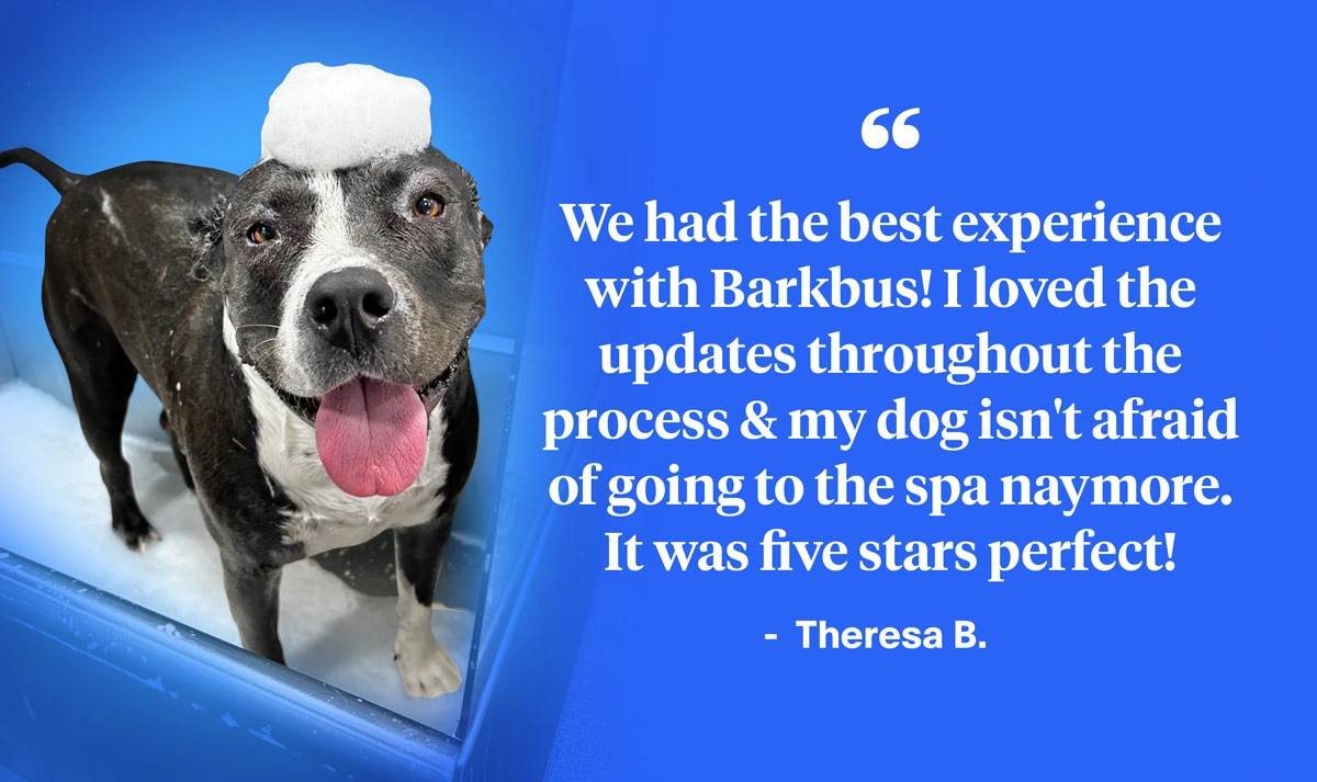 happy soapy dog with customer testimonial on blue background