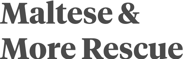 maltese & more rescue logo