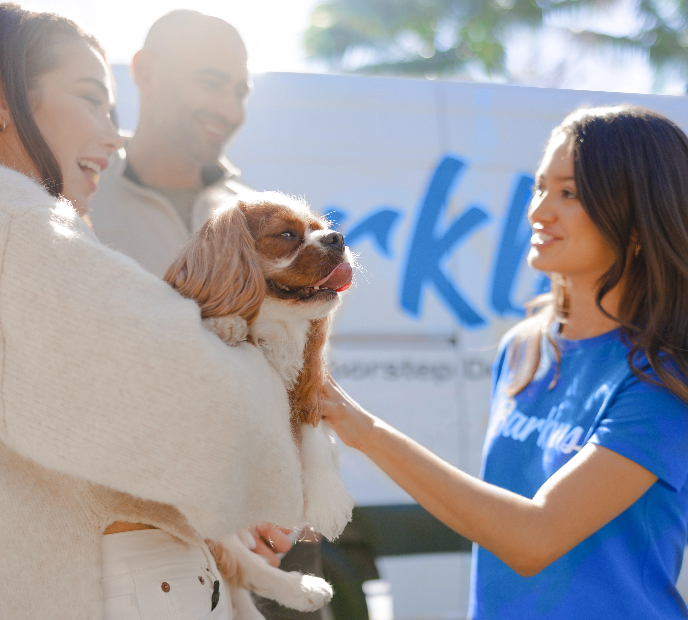 barkbus van graphic design
